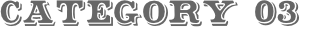 CATEGORY 03