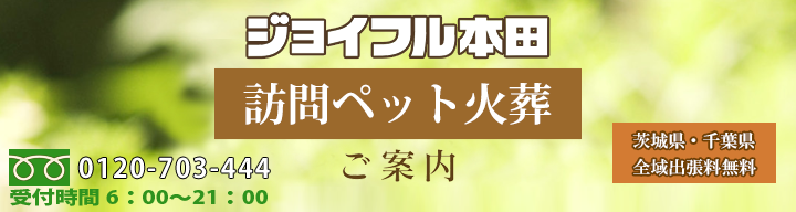訪問ペット火葬