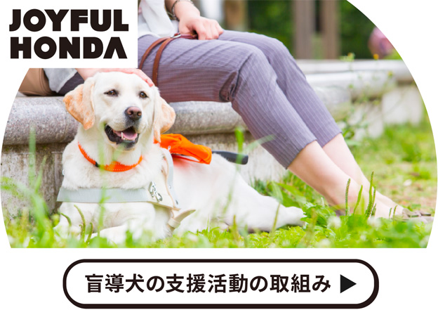 盲導犬の支援活動について