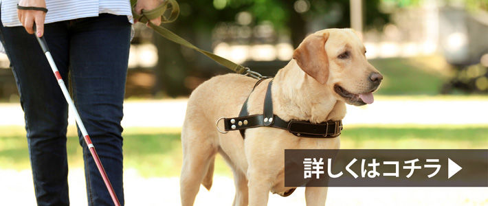 社会への取組