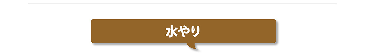 シラクメンの育て方メモ 株式会社ジョイフル本田