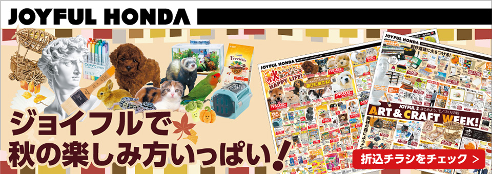 ジョイフルで秋の楽しみ方いっぱい！