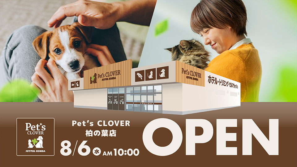 ッツクローバー柏の葉　8/6オープン