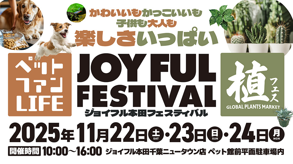 ジョイフル本田フェスティバル　千葉ニュータウン店