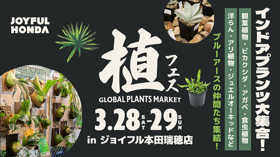 植フェス　in　瑞穂店