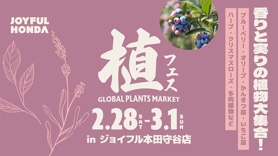 植フェス　in　守谷店